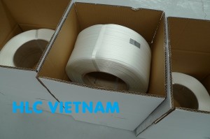Sản phẩm dây đai nhựa composite do HLC Việt Nam cung cấp