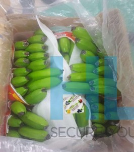 Sản phẩm gói hút ethylene do HLC Việt Nam phân phối